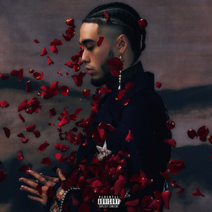 美国摘花助攻出血
